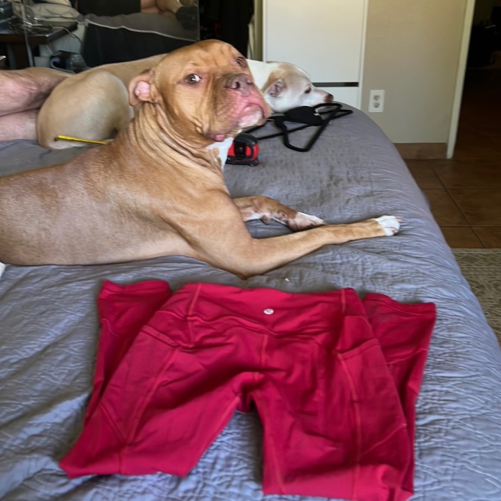 Lululemon workout pants size 4